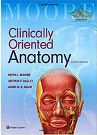 Clinically Oriented Anatomy Moore Wolters Kluwer Wolters Kluwer