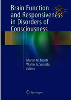 Brain Function and Responsiveness in Disorders of Consciousness Springer