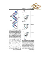 ژنتیک مولکولی انسانی استراخان 2019 جلد 1 ویرایش پنجم برای فردا برای فردا