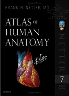 Atlas of Human Anatomy Netter Basic Science 2018 کتاب اطلس آناتومی نتر ابن سینا ابن سینا
