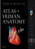 Atlas of Human Anatomy Netter Basic Science 2018 حیدری