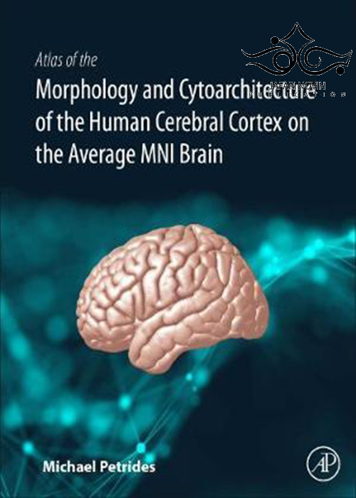 Atlas of the Morphology of the Human Cerebral Cortex on the Average MNI Brain