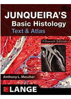 Junqueira’s Basic Histology, 15th Edition2018 McGraw-Hill Education McGraw-Hill Education