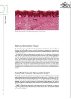 Dermal Fillers for Facial Harmony 1st Edition2019  Quintessence Publishing Co Inc.,U.S