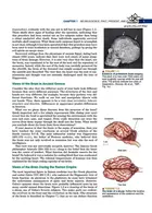 Neuroscience : Exploring the Brain 4th Edicion Mc Graw Hill