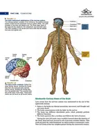 Neuroscience : Exploring the Brain 4th Edicion Mc Graw Hill Mc Graw Hill