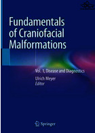 Fundamentals of Craniofacial Malformations : Vol. 1, Disease and Diagnostics Springer Springer