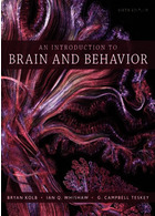 An Introduction to Brain and Behavior Sixth Edición  Worth Publishers   Worth Publishers 