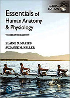 Essentials of Human Anatomy & Physiology [Global Edition] 13th Edición  Pearson Education (US)   Pearson Education (US) 