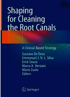 Shaping for Cleaning the Root Canals : A Clinical-Based Strategy Springer