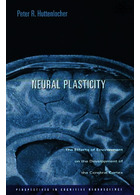 Neural Plasticity : The Effects of Environment on the Development of the Cerebral Cortex  Harvard University Press   Harvard University Press 