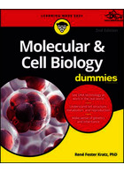 Molecular & Cell Biology For Dummies, 2nd Edition John Wiley-Sons Inc