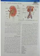 پرستاری داخلی جراحی برونر سودارث کلیه و مجاری ادرار 2022 جلد 11 حیدری