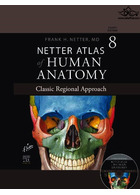 Netter Atlas of HUMAN ANATOMY 8e + Appendix (گلاسه + اپندیکس + قاب) اندیشه رفیع