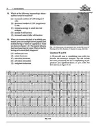 Lange Q&A USMLE Step 2 CK, Sixth Edition Kaplan