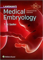 Langman's Medical Embryology 14th Edition | جنین شناسی پزشکی لانگمن چهاردهم 2019