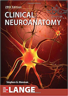 Clinical Neuroanatomy, 29th Edition | نورواناتومی بالینی 2020