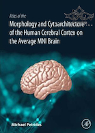 Atlas of the Morphology of the Human Cerebral Cortex on the Average MNI Brain | اطلس شناسی قشر مغز انسان در مغز متوسط ام ان ای 2019