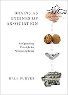 Brains as Engines of Association2019 مغزها به عنوان موتورهای انجمن