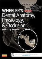 Wheeler's Dental Anatomy, Physiology and Occlusion فیزیولوژی و آناتومی ویلر