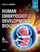 Human Embryology and Developmental Biology 6th Edition2019 | جنین شناسی انسانی و زیست شناسی رشد