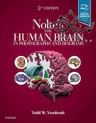 Nolte’s The Human Brain in Photographs and Diagrams, 5th Edition2019 مغز انسان در عکسها و نمودارها