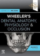 Wheeler's Dental Anatomy, Physiology and Occlusion 11th Edition 2020 آناتومی، فیزیولوژی دندانپزشکی ویلر