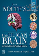 Nolte’s The Human Brain, 8th Edition2020 مغز انسان