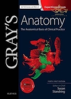 Gray's Anatomy : The Anatomical Basis of Clinical Practice