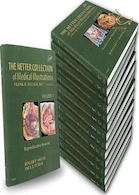 The Netter Collection of Medical Illustrations Complete Package