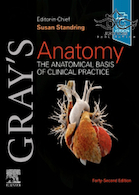 Gray's Anatomy: The Anatomical Basis of Clinical Practice 42nd Edition | آناتومی گری: مبنای تشریحی عمل بالینی 2021