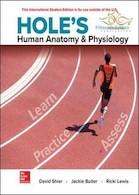 Hole's Human Anatomy & Physiology