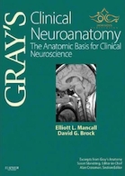 Gray's Clinical Neuroanatomy : The Anatomic Basis for Clinical Neuroscience2011 | Gray's Clinical Neuroanatomy : The Anatomic Basis for Clinical Neuroscience2011