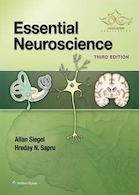 Essential Neuroscience