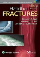 Handbook of Fractures