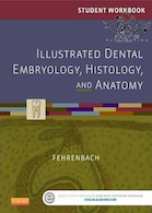 Illustrated Dental Embryology, Histology, and Anatomy 4th Edition2015 جنین شناسی ، بافت شناسی و آناتومی مصنوعی