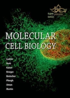 زیست سلولی و مولکولی لودیش 2016 Molecular Cell Biology