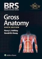 BRS Gross Anatomy (Board Review Series) Ninth, North American Edition آناتومی گری 2019 BRS