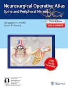 Neurosurgical Operative Atlas: Spine and Peripheral Nerves