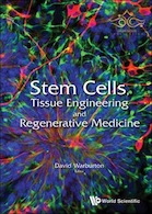 Stem Cells, Tissue Engineering And Regenerative Medicine