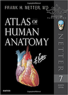 Atlas of Human Anatomy Netter Basic Science 2018 کتاب اطلس آناتومی نتر