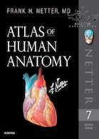 Atlas of Human Anatomy Netter Basic Science 2018 | کتاب اطلس آناتومی نتر