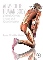 Atlas of the Human Body: Central Nervous System and Vascularization 1st Edition2017 اطلس بدن انسان: سیستم عصبی مرکزی و عروق