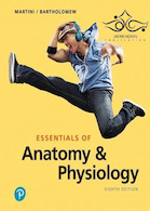 Essentials of Anatomy & Physiology 8th Edition2019 آناتومی و فیزیولوژی