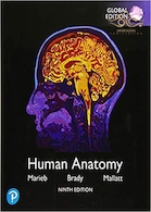 2020 Human Anatomy, Global Edition 9th Edition آناتومی انسانی