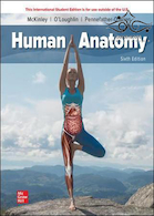 Human Anatomy