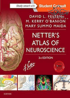 Netter’s Atlas of Neuroscience (Netter Basic Science) 3rd Edition52015 | اطلس علوم اعصاب نتر