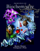 Principles of Biochemistry, 5th edition2011 | اصول بیوشیمی
