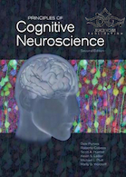 Principles of Cognitive Neuroscience, 2nd Edition2013 | اصول علوم اعصاب شناختی