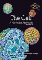The Cell: A Molecular Approach 8th Edition 2019 | سلول کوپر 2019